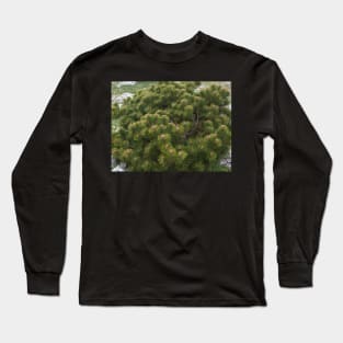 Mountain pine Long Sleeve T-Shirt